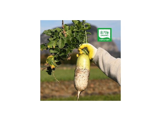 유기농김장무 종류 및 추천-리뷰 스펙 가격 비교